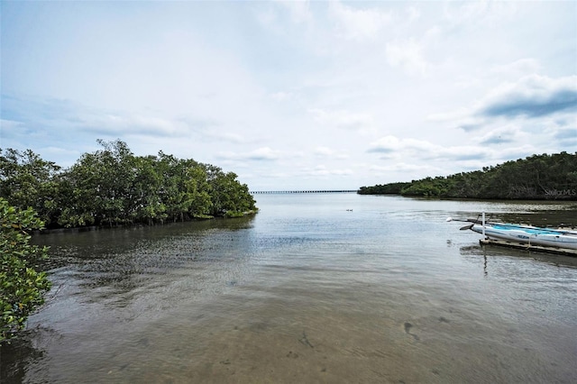 property view of water