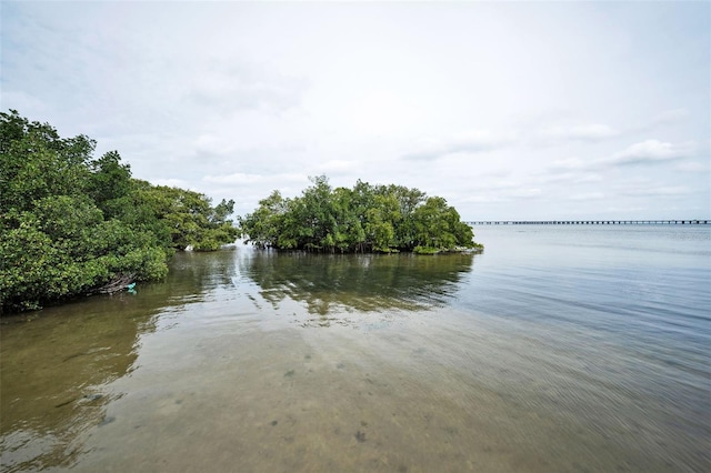 property view of water