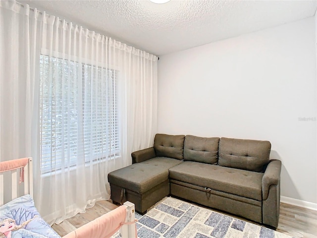 living room featuring a textured ceiling, baseboards, and wood finished floors