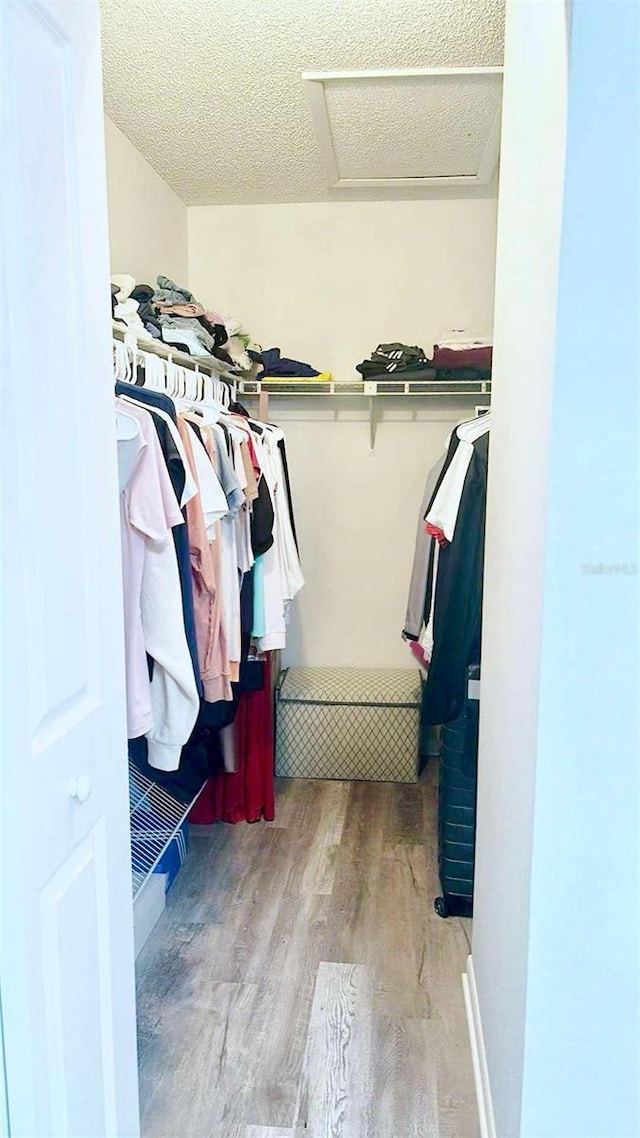 walk in closet with attic access and light wood-style flooring