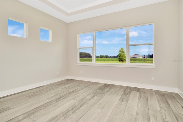 10714 Torchwood Sea Way, San Antonio, FL 33576 - spare room with light wood-style floors and baseboards