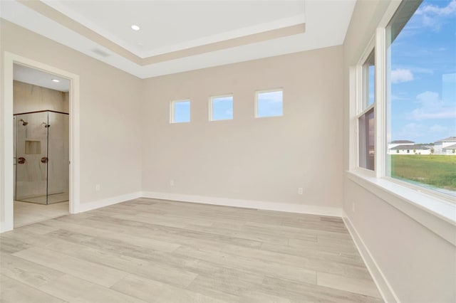 10714 Torchwood Sea Way, San Antonio, FL 33576 - empty room featuring light wood-style floors, a raised ceiling, and baseboards