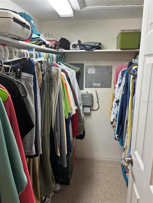 spacious closet with carpet floors