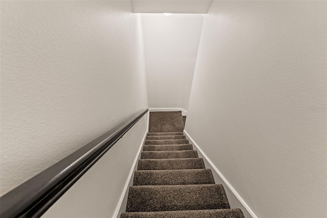 stairway featuring carpet