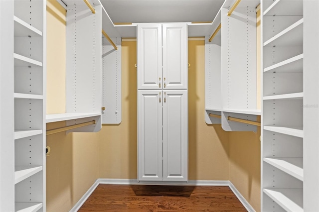 spacious closet featuring dark wood-type flooring