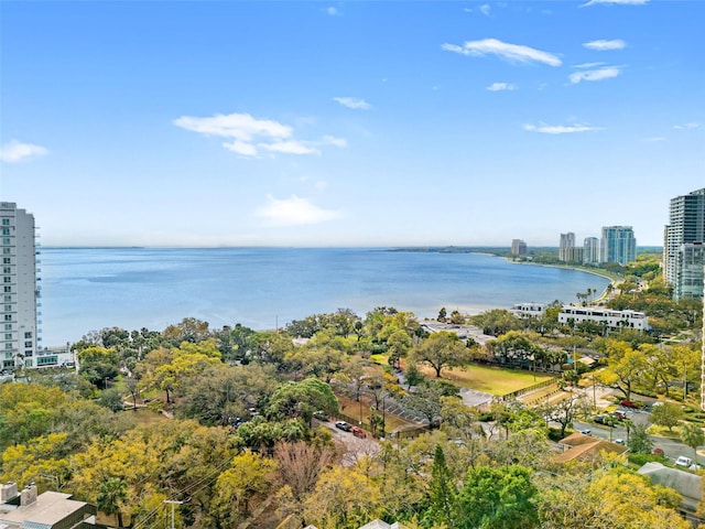 water view featuring a view of city