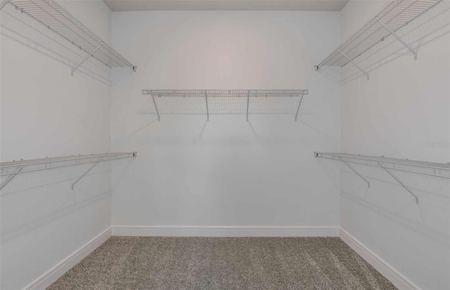 walk in closet featuring carpet