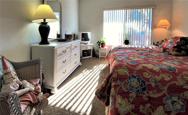 bedroom with carpet floors