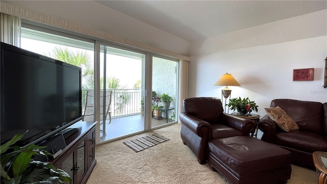 living room featuring lofted ceiling and light colored carpet