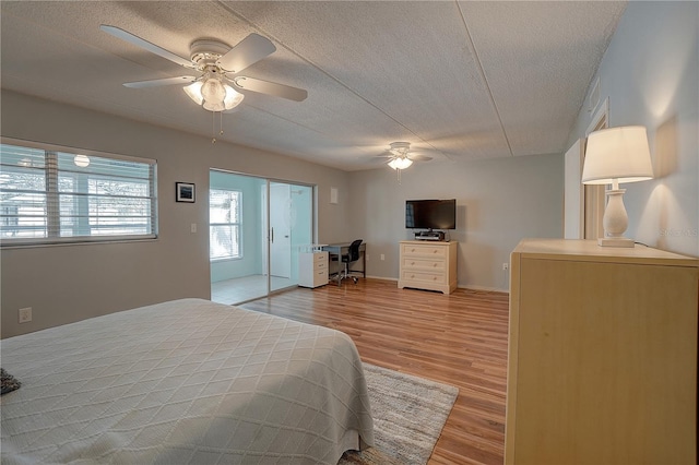 11620 Park Blvd Unit 308, Seminole, FL 33772 - photo 17