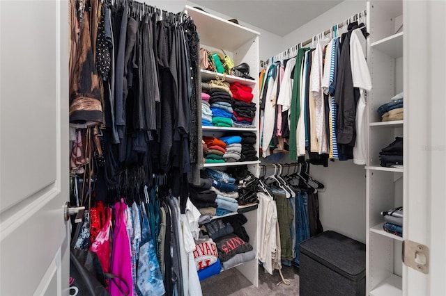 5994 Shiner St, Land O Lakes, FL 34638 - view of walk in closet