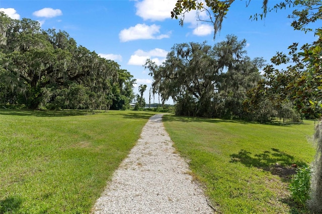 5994 Shiner St, Land O Lakes, FL 34638 - view of yard