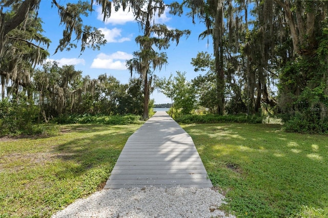 5994 Shiner St, Land O Lakes, FL 34638 - surrounding community with a yard
