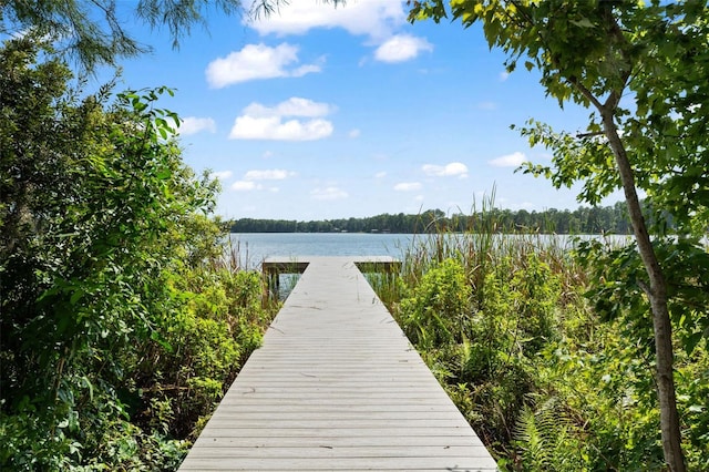5994 Shiner St, Land O Lakes, FL 34638 - dock area featuring a water view