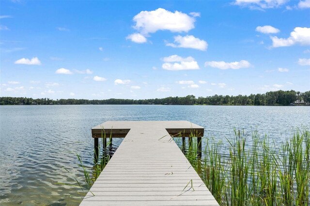 5994 Shiner St, Land O Lakes, FL 34638 - dock area featuring a water view