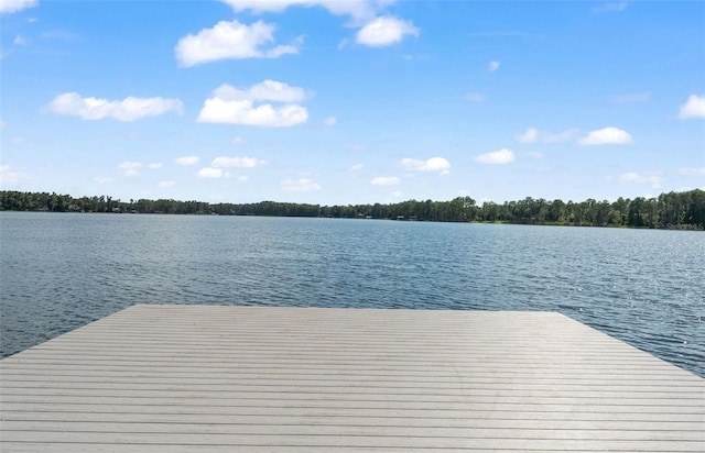 5994 Shiner St, Land O Lakes, FL 34638 - dock area featuring a water view