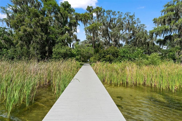 5994 Shiner St, Land O Lakes, FL 34638 - dock area featuring a water view