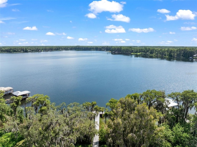 5994 Shiner St, Land O Lakes, FL 34638 - water view with a forest view