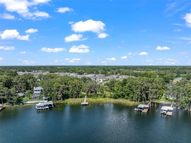 5994 Shiner St, Land O Lakes, FL 34638 - bird's eye view featuring a water view and a view of trees