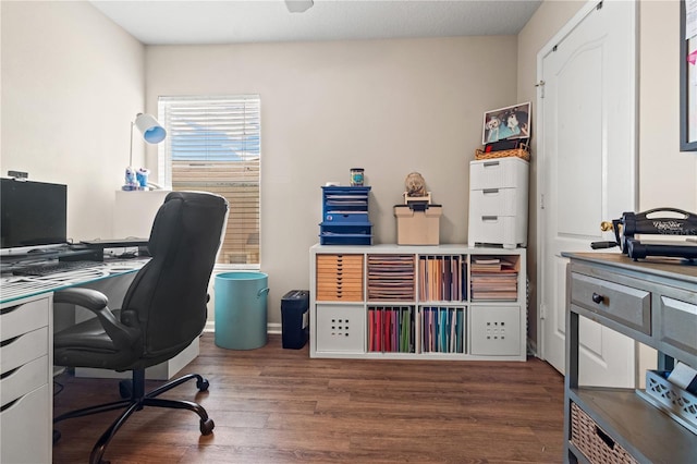 2824 Conch Hollow Dr, Brandon, FL 33511 - office space with dark wood-style flooring