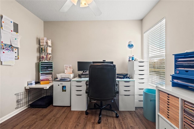 2824 Conch Hollow Dr, Brandon, FL 33511 - office with dark wood-style flooring, ceiling fan, and a textured ceiling