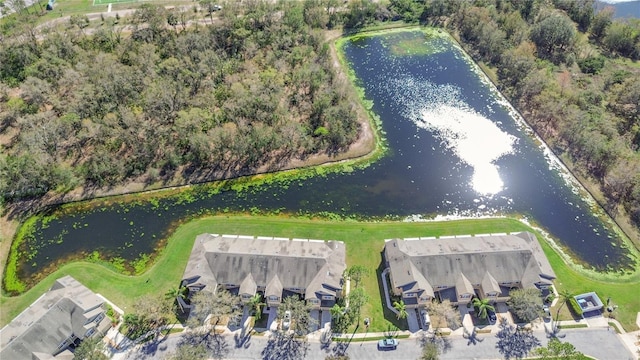 2824 Conch Hollow Dr, Brandon, FL 33511 - drone / aerial view featuring a water view