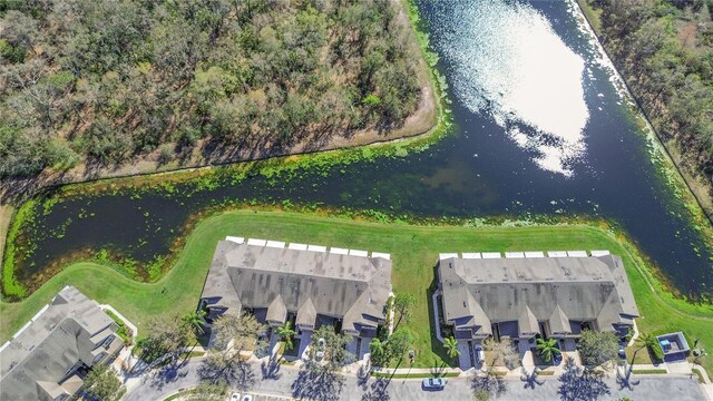 2824 Conch Hollow Dr, Brandon, FL 33511 - birds eye view of property with a water view