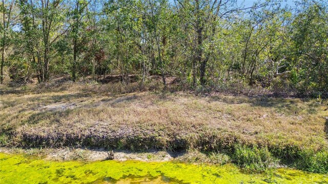 2824 Conch Hollow Dr, Brandon, FL 33511 - view of landscape
