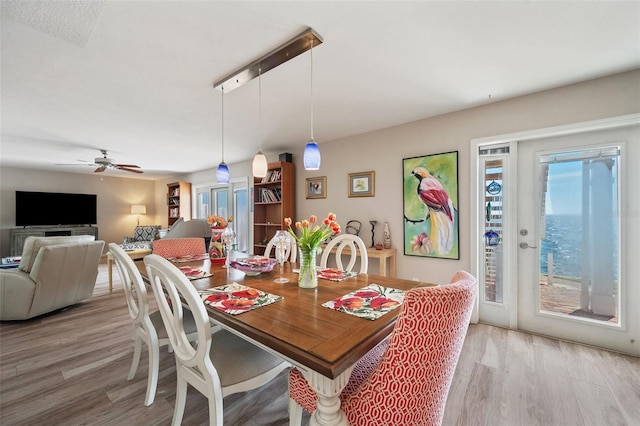 dining room featuring light wood-style flooring and a ceiling fan