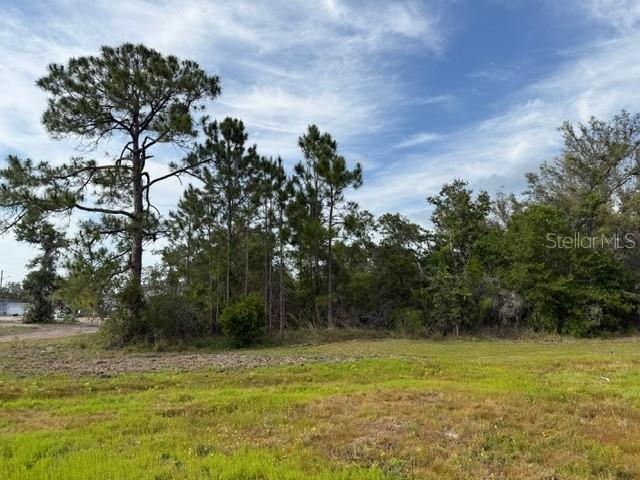 1649 Redfin Dr, Poinciana, FL 34759 - photo 5