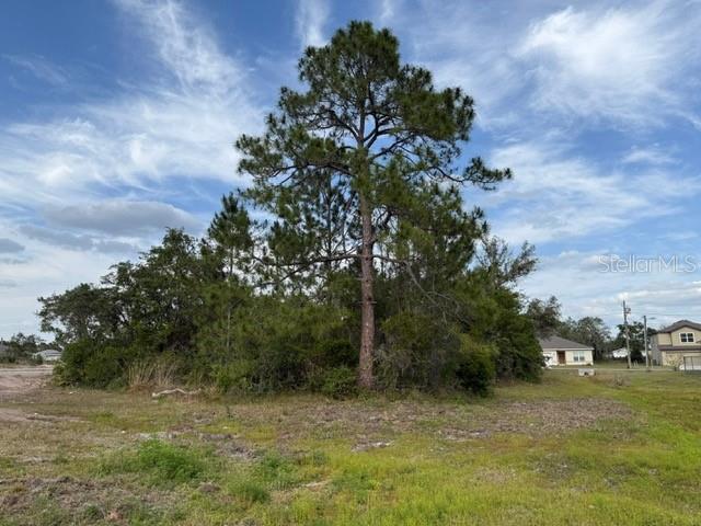 1649 Redfin Dr, Poinciana, FL 34759 - photo 6