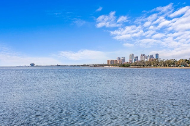 611 Brightwaters Blvd NE, Saint Petersburg, FL 33704 - property view of water featuring a view of city