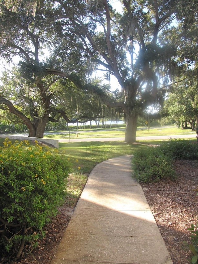 view of community with a yard