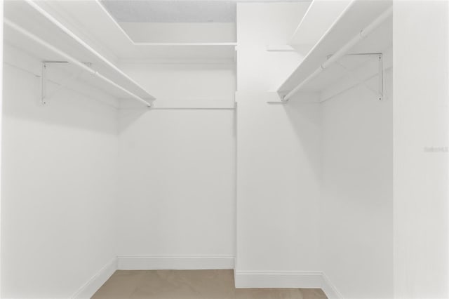 view of walk in closet