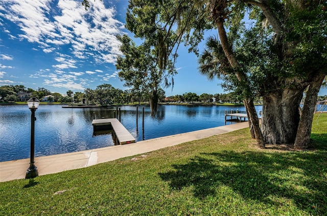 dock area featuring a water view and a lawn