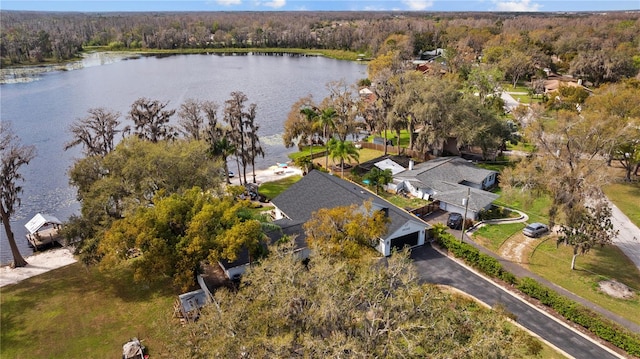 bird's eye view featuring a water view and a wooded view