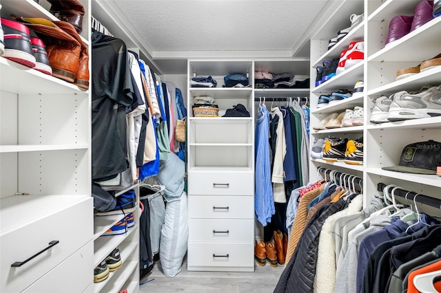 spacious closet featuring light wood-style flooring