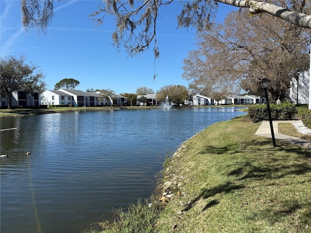 water view with a residential view