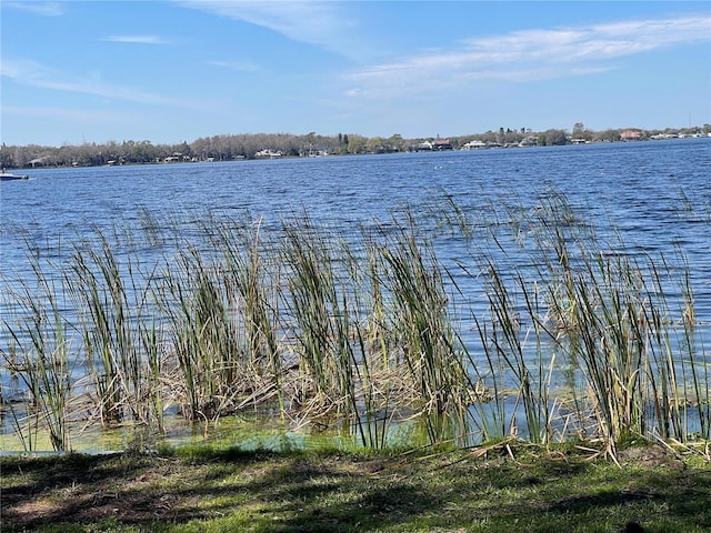 view of water feature