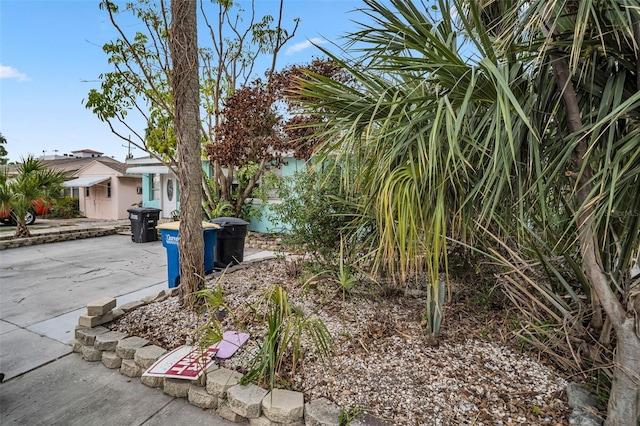 view of yard featuring driveway and a patio area