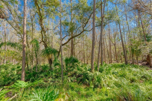 view of landscape with a view of trees