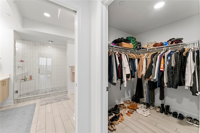 walk in closet featuring wood finish floors