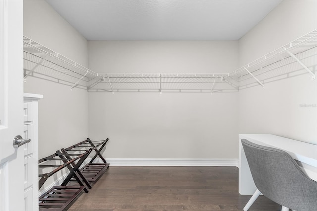 walk in closet with dark wood-type flooring