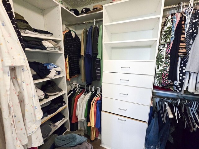 view of walk in closet