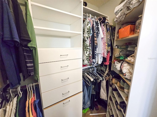 view of walk in closet