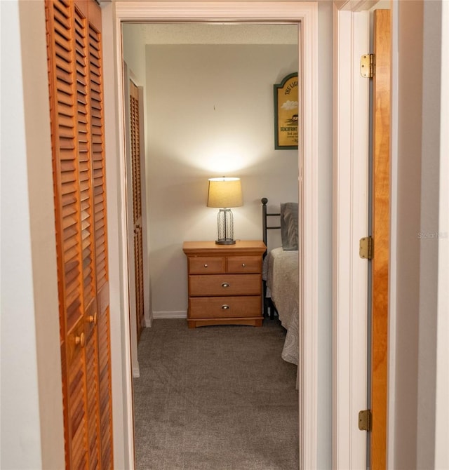 bedroom featuring carpet flooring