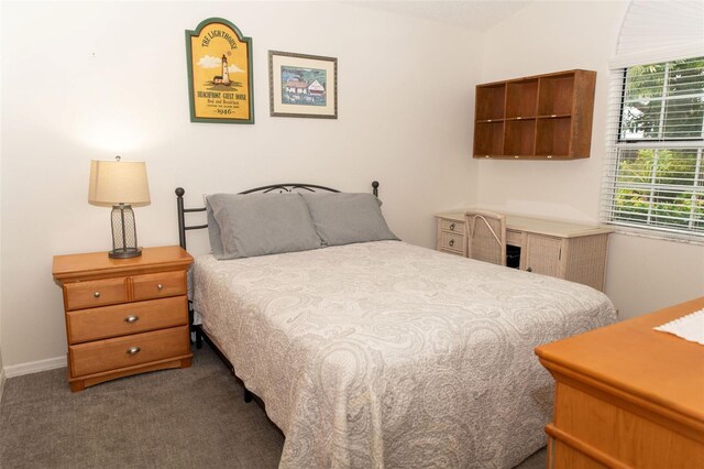 bedroom with multiple windows and dark carpet