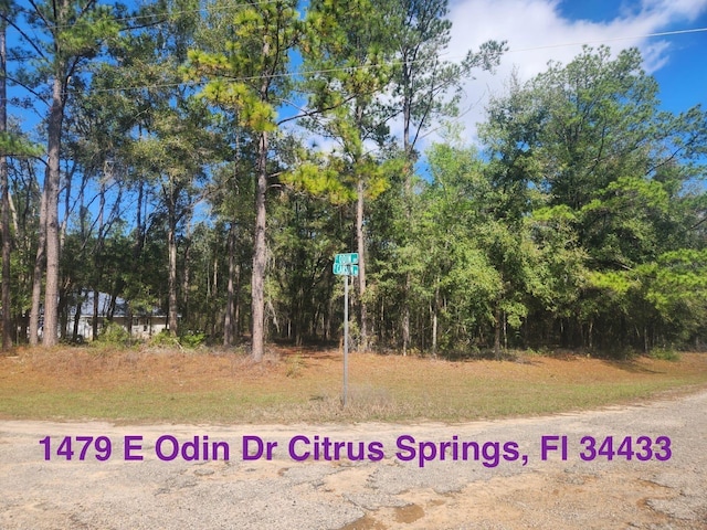 1479 E Odin Dr, Citrus Springs FL, 34433 land for sale