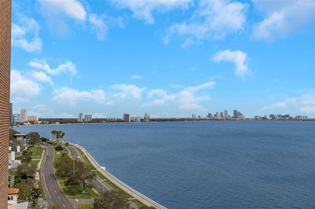 view of water feature with a view of city