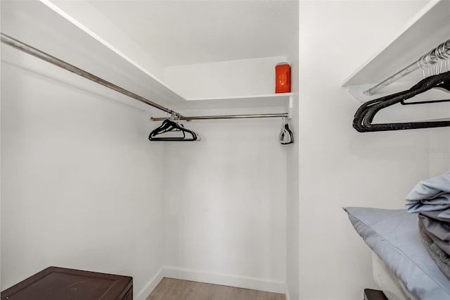 spacious closet featuring wood finished floors